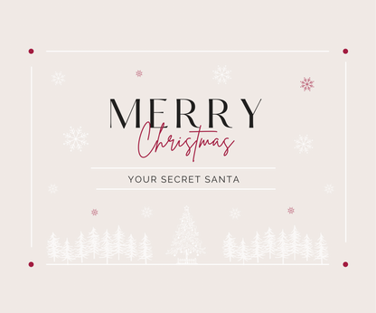 Secret Santa Box